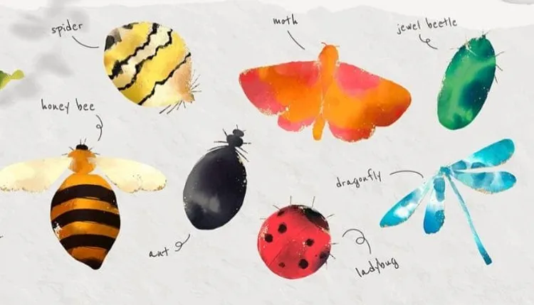 Case study: Followup Failemail + Typical Bug